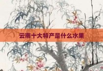 云南十大特产是什么水果