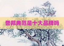 誉邦典范是十大品牌吗
