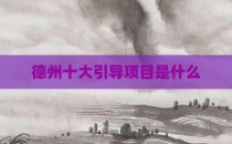 德州十大引导项目是什么