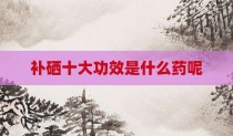 补硒十大功效是什么药呢