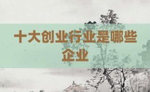 十大创业行业是哪些企业
