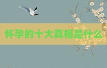 怀孕的十大真相是什么
