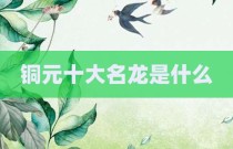铜元十大名龙是什么