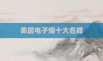 美国电子烟十大名牌
