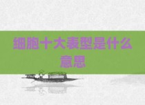 细胞十大表型是什么意思