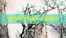度维水平仪是十大品牌吗