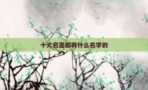 十大名壶都有什么名字的