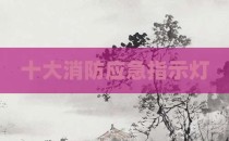 十大消防应急指示灯