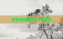 布派油烟机是十大品牌吗