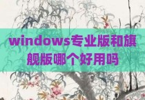 windows专业版和旗舰版哪个好用吗