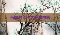 当你老了十大必看电影