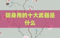 防身用的十大武器是什么