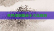林内油烟机是十大品牌吗