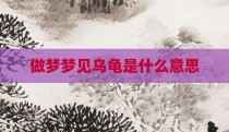 做梦梦见乌龟是什么意思