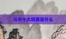斗牛十大场面是什么