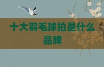十大羽毛球拍是什么品牌