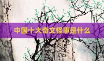 中国十大奇文怪事是什么