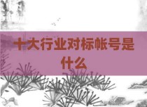 十大行业对标帐号是什么