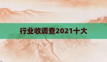行业收调查2021十大