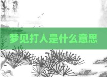 梦见打人是什么意思