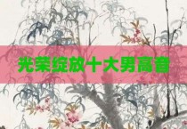光荣绽放十大男高音