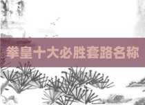 拳皇十大必胜套路名称