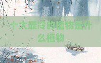 十大最冷的植物是什么植物