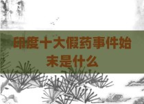 印度十大假药事件始末是什么