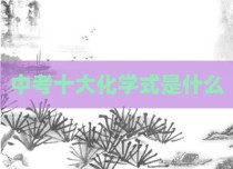 中考十大化学式是什么