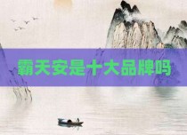 霸天安是十大品牌吗
