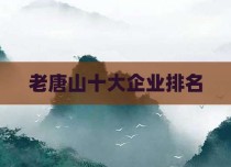 老唐山十大企业排名