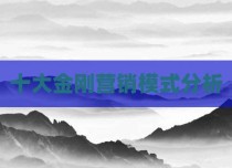 十大金刚营销模式分析