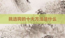 挑选狗的十大方法是什么