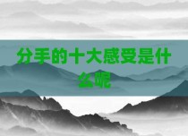分手的十大感受是什么呢