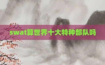swat算世界十大特种部队吗