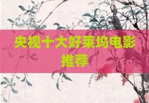央视十大好莱坞电影推荐