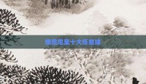 儒尼尼奥十大任意球