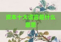 资本十大谎言是什么意思