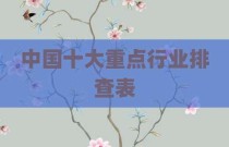 中国十大重点行业排查表