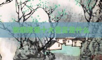 新郎接亲十大誓言是什么