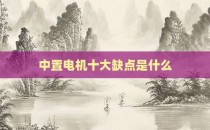 中置电机十大缺点是什么