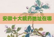 安徽十大皖药地址在哪