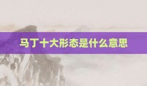马丁十大形态是什么意思