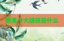 唐龙十大魂技是什么