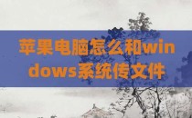 苹果电脑怎么和windows系统传文件