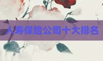 人寿保险公司十大排名