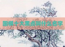 围棋十大黑点叫什么名字