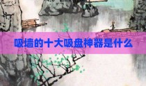 吸墙的十大吸盘神器是什么