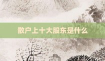 散户上十大股东是什么
