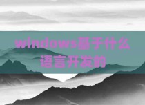 windows基于什么语言开发的